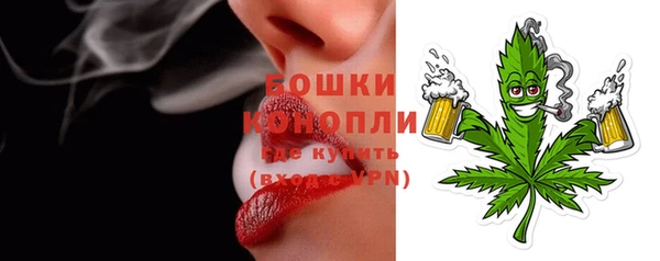 гидра Елизово