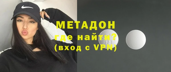 гидра Елизово