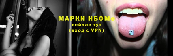 гидра Елизово