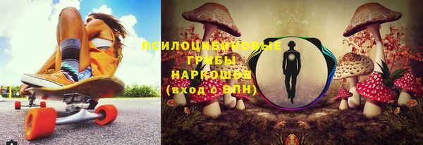 гидра Елизово