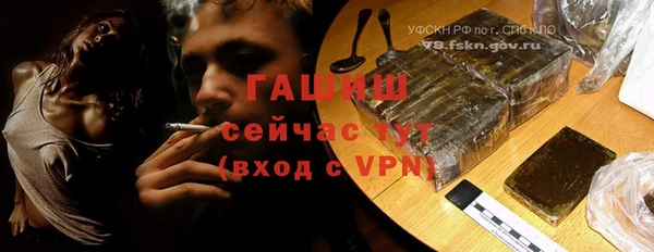 гидра Елизово