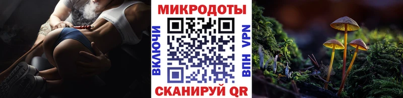Галлюциногенные грибы MAGIC MUSHROOMS  Купить закладки  Белоозёрский 